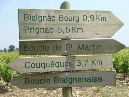 On prend l’air en Médoc Vignoble!