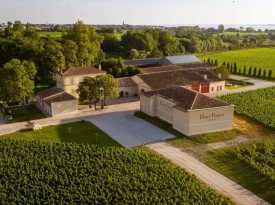 Vignoble