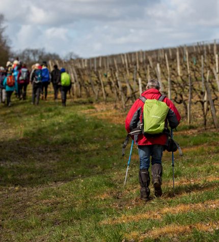Randonnée et équestre