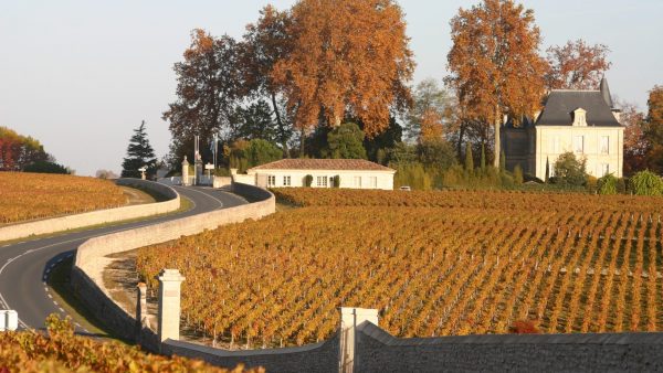 Week-end autour du vin