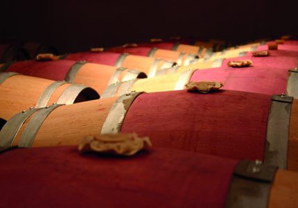 Envie de découvrir la route des vins