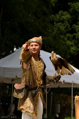 Médoc vignoble coloré et varié !
