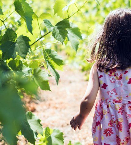 Visiter avec des enfants