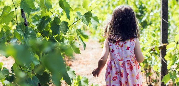 Transition vacances – rentrée!