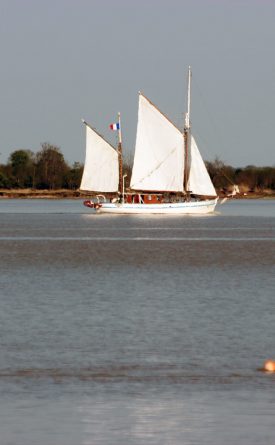Envie d’un estuaire sauvage