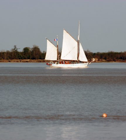Envie d’un estuaire sauvage