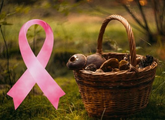 L’automne frappe à la porte