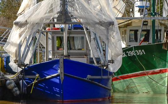 Encore de beaux jours