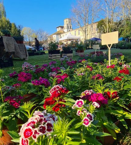 La « Passiflore »