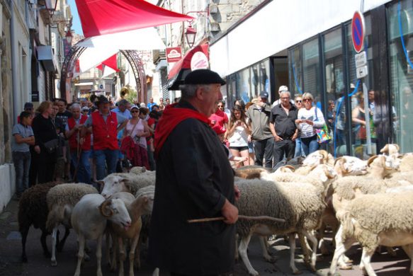 Le soleil nous accompagne !