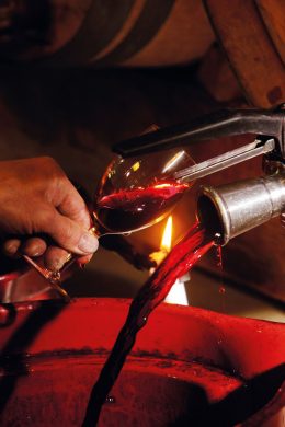 A la découverte du Médoc