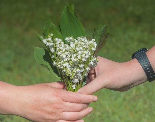 La News et l’agenda du 25 avril au 12 mai 2024