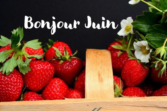 La News et l’agenda du 30 mai au 16 juin 2024