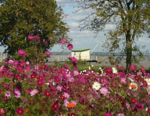 La News et l’agenda du 16 mai au 2 juin 2024