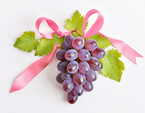 La News et l’Agenda du 10 au 27 octobre 2024