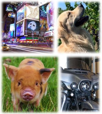 Petit quiz du vignoble N°5 le premier de 2025