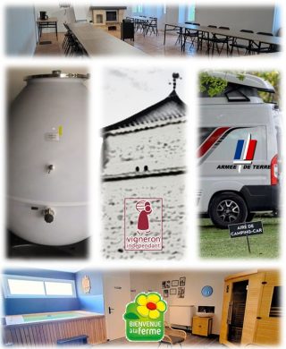 Petit quiz du vignoble N° 7