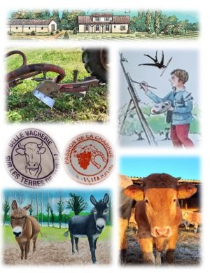 Petit quiz du vignoble N° 11