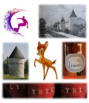 Petit quiz du vignoble N° 14