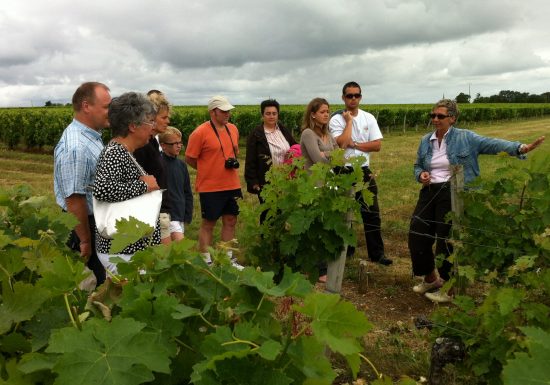 Chateau Tour Castillon