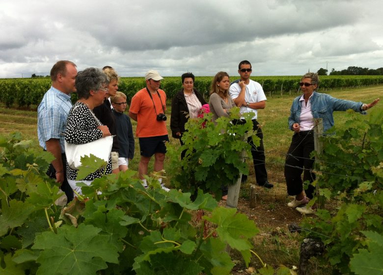 Chateau Tour Castillon