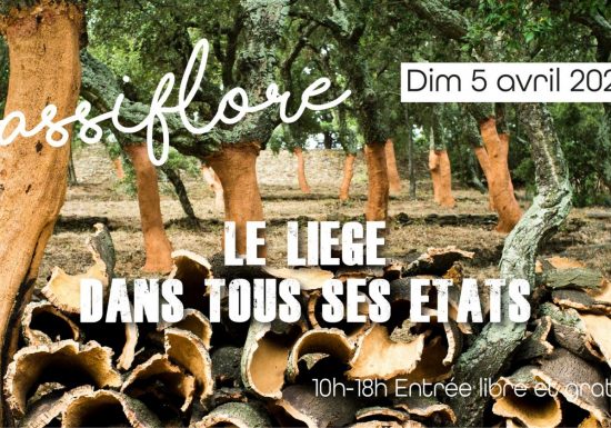 Foire aux plantes « La Passiflore » : le liège dans tous ses états