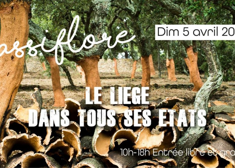 Foire aux plantes « La Passiflore » : le liège dans tous ses états