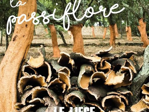 Foire aux plantes « La Passiflore » : le liège dans tous ses états