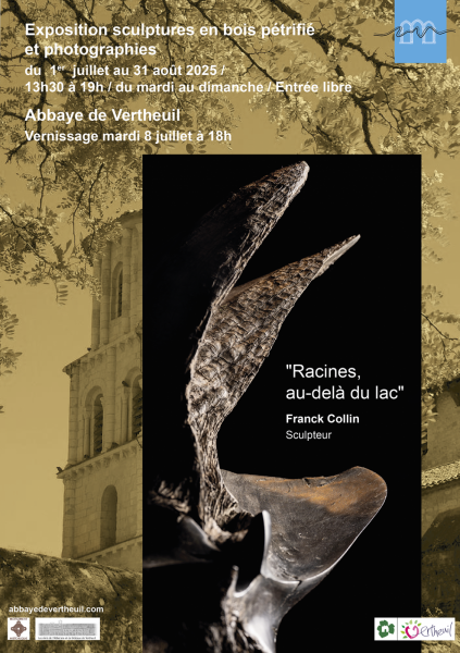 Exposition Franck Collin