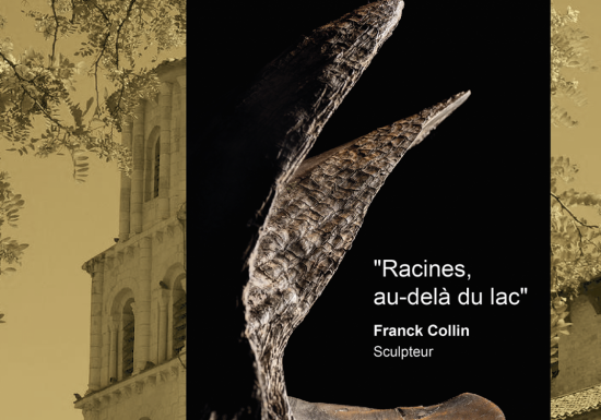 Exposition Franck Collin