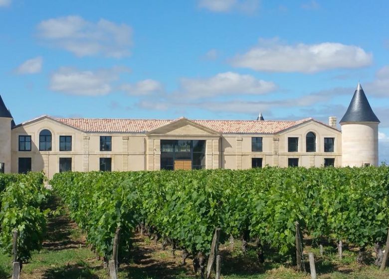 Château Tour Saint-Fort