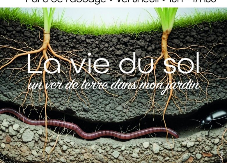 Foire aux plantes « La Passiflore » : La vie du sol- un ver dans mon jardin