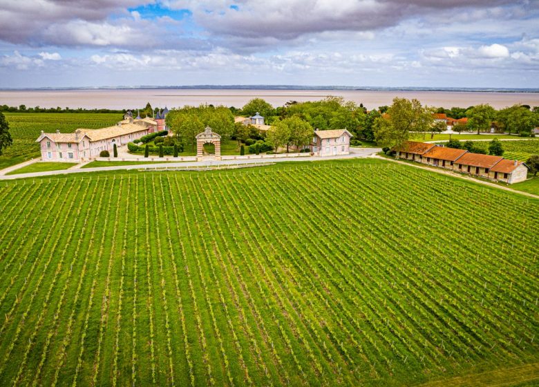 Château Loudenne