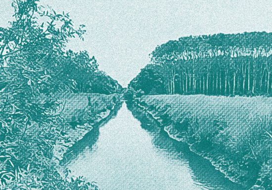 Ciné-débat : la mise en récit des paysages et de la biodiversité des marais