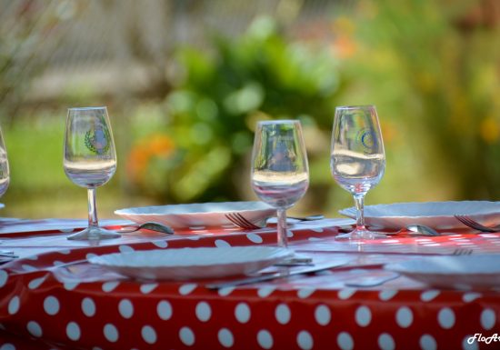 Picnic al viticoltore indipendente dello Château De La Croix