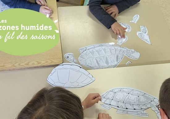 JMZH : les petits déjs nature des enfants : vis ma vie de cistude