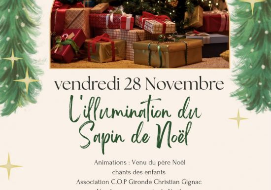 Illuminations du sapin et marché de Noël