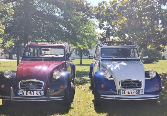 Explore o Médoc em um 2CV