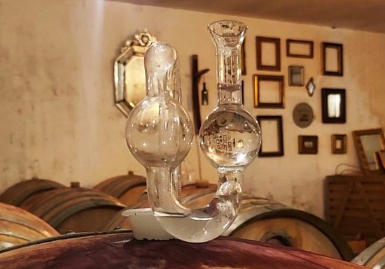 Die Auswahl an Weinen im Château Hourtin-Ducasse. Um was zu tun ?