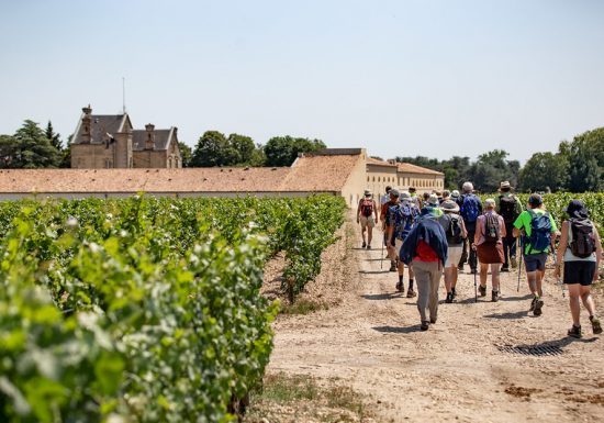 « La Randonnée des Châteaux » à Pauillac