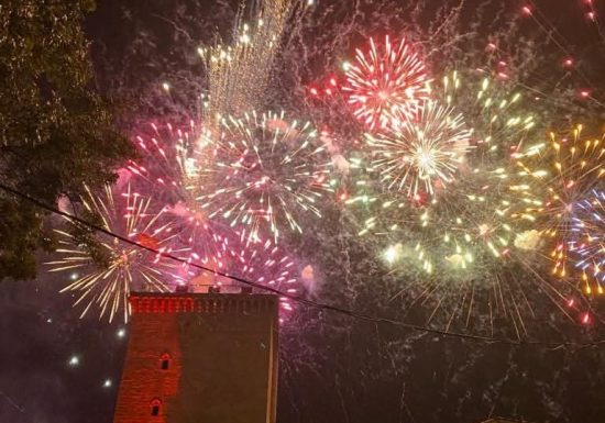Fête du Vin et de la Gastronomie (Foire aux Vins)