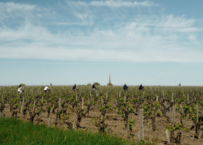 By bike in front of the roots of a Great Wine at Château Léoville Poyferré