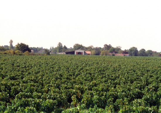 Kasteel La Branne