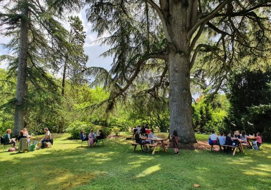 Picknick bij Château Castera