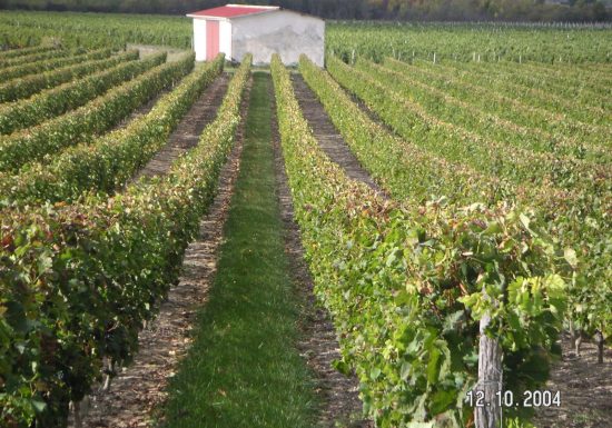 Château Bejac Romelys