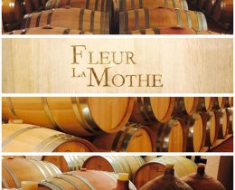 Château Fleur La Mothe