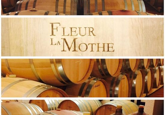 Château Fleur La Mothe