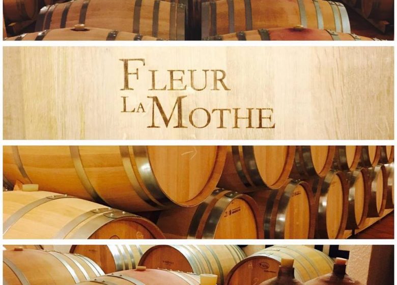 Chateau Fleur La Mothe