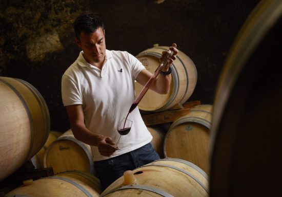 Château Beau-Site Haut-Vignoble