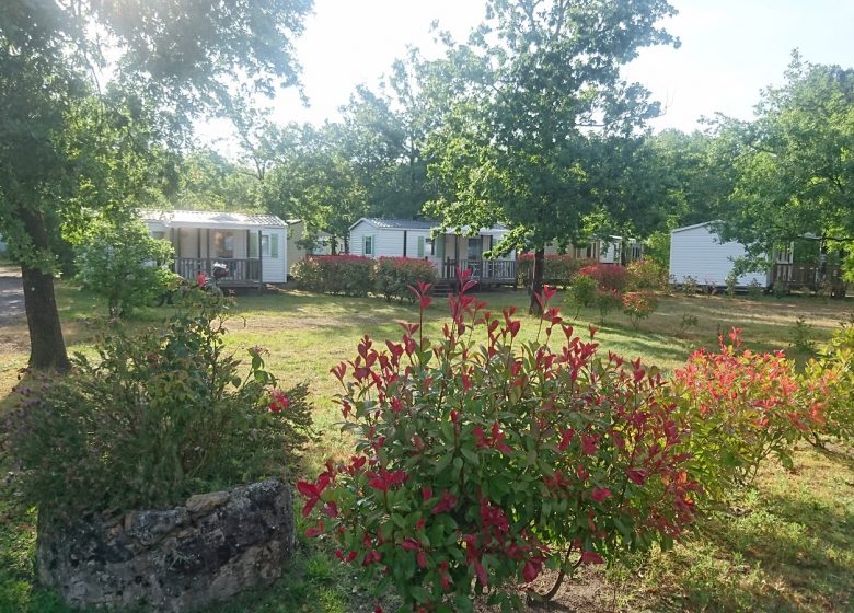 Blumencampingplatz Le Médoc Blau